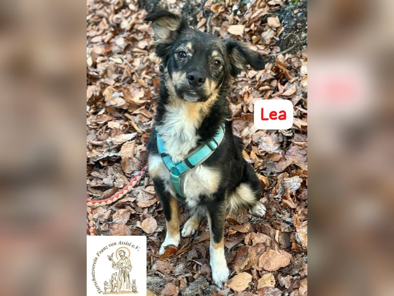 LEA - möchtest DU mit mir kuscheln?