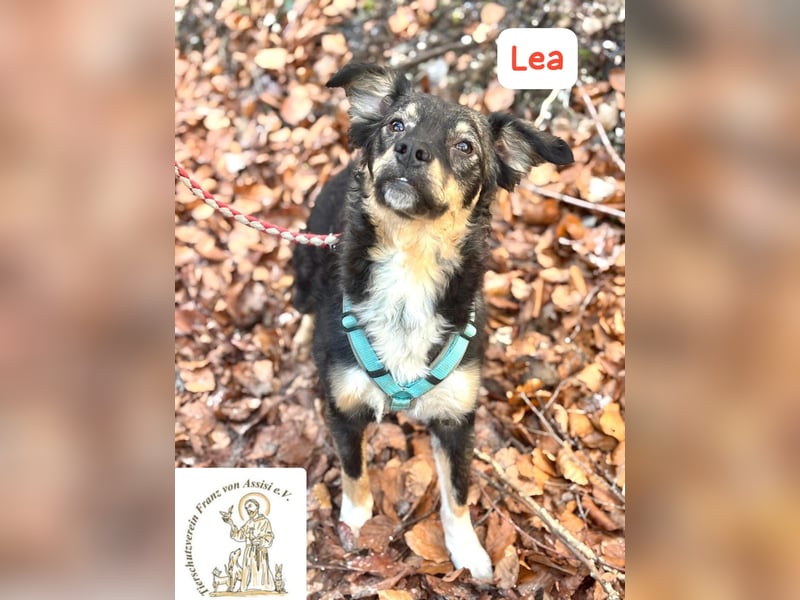 LEA - möchtest DU mit mir kuscheln?