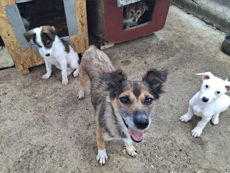 Malou sucht eine liebevolle Familie