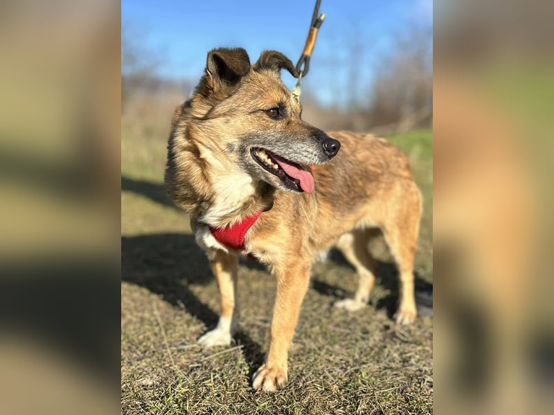 Malou sucht eine liebevolle Familie