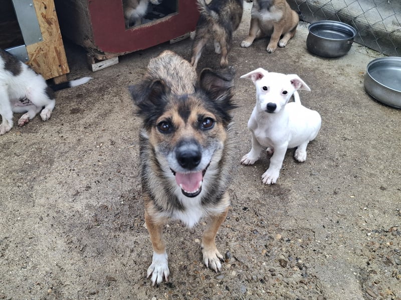 Malou sucht eine liebevolle Familie
