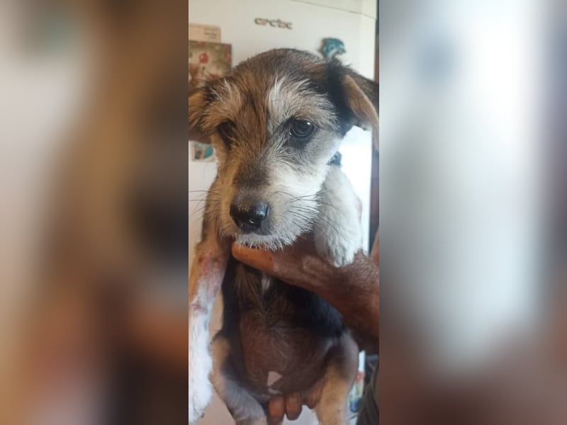 Ruby sucht ihr Abenteuer