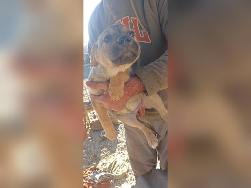 Coco sucht ihr zu Hause
