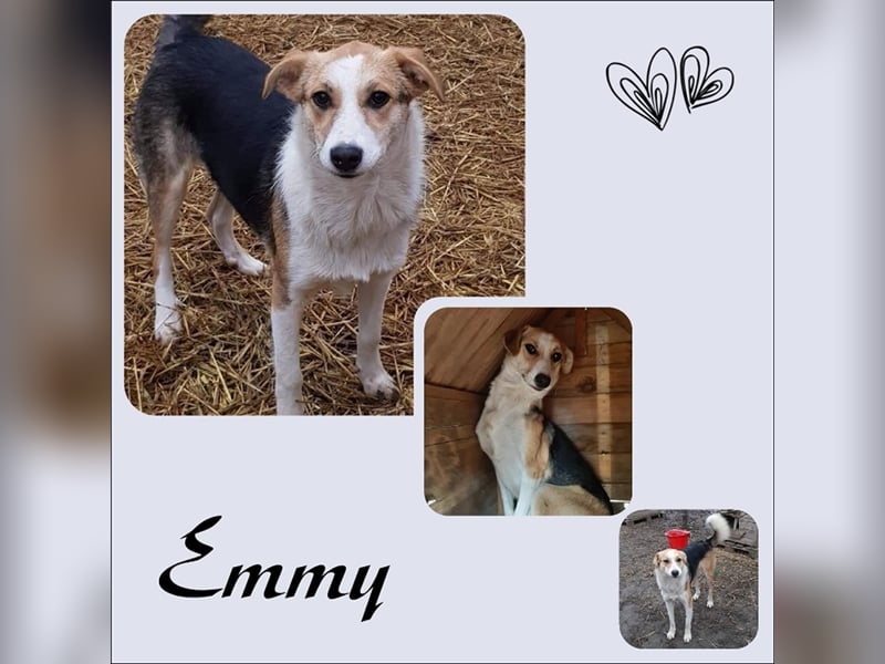 Hier kommt die süße Emmy!