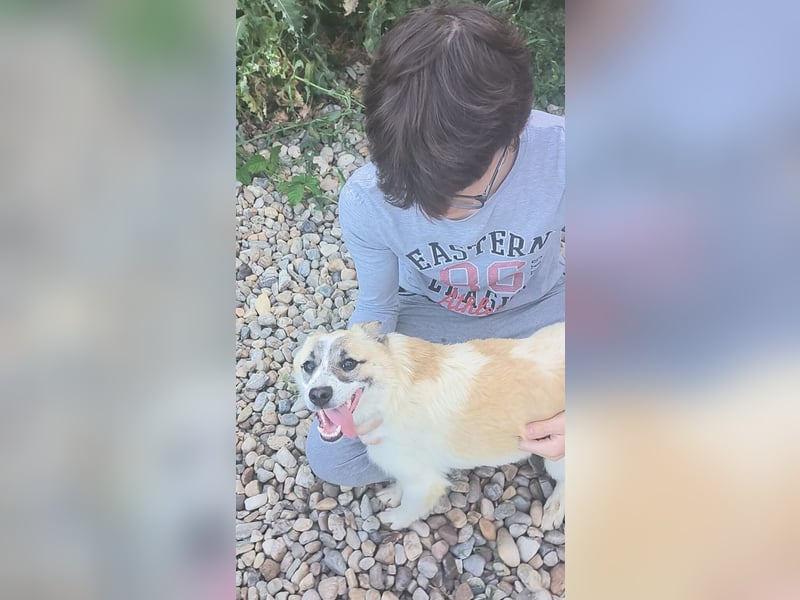 LEILA sucht eine Familie