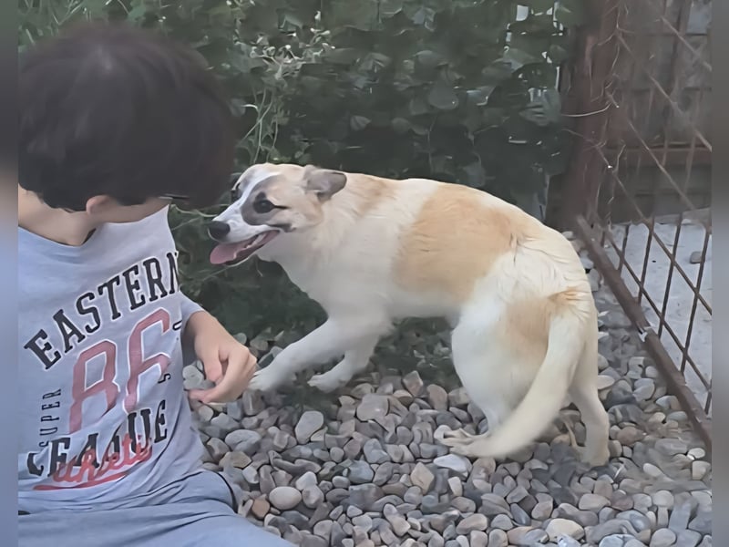 LEILA sucht eine Familie