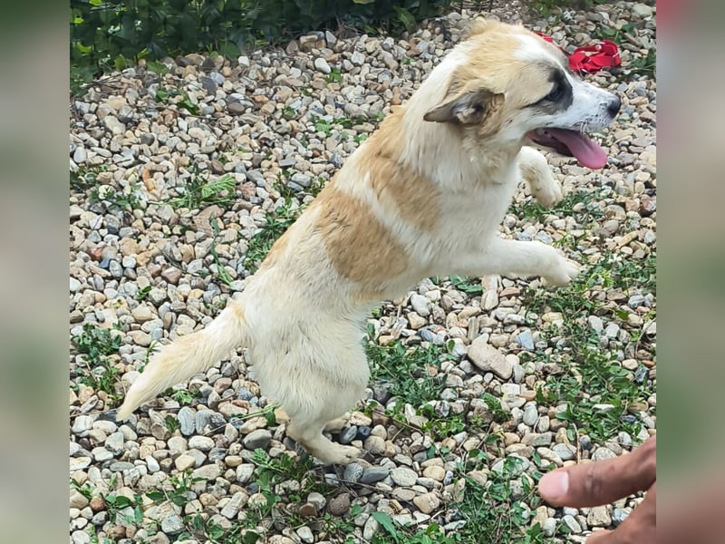 LEILA sucht eine Familie