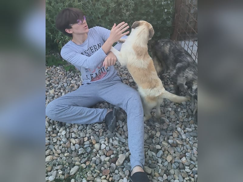 LEILA sucht eine Familie
