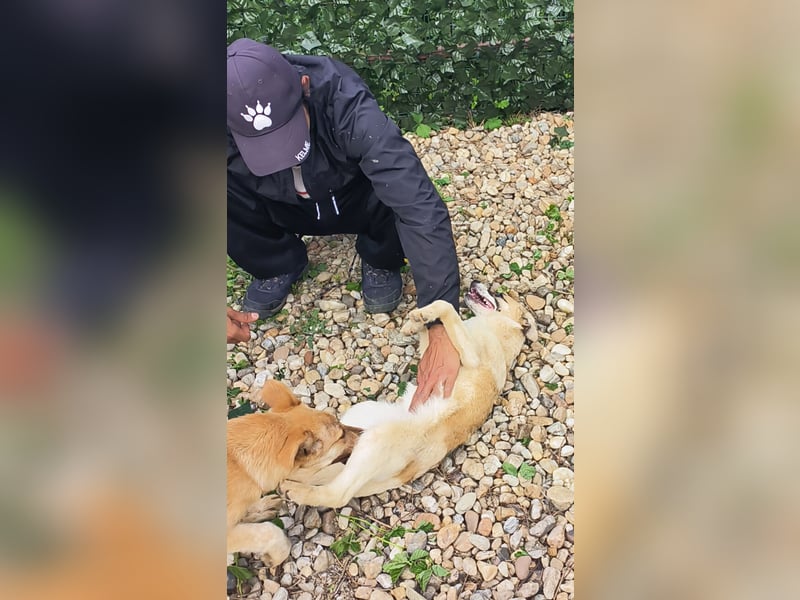 LEILA sucht eine Familie