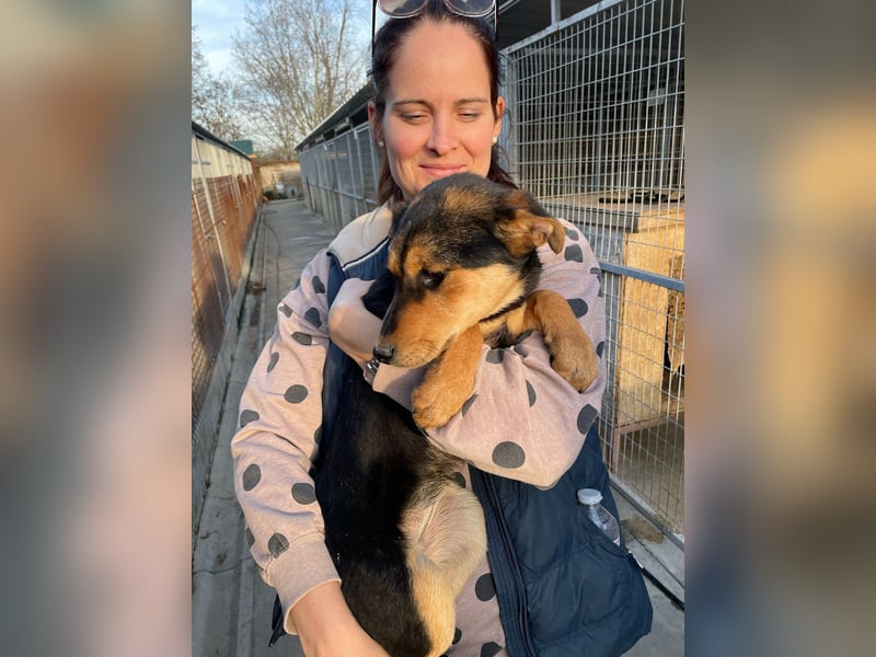 Stella, verspielt und neugierig