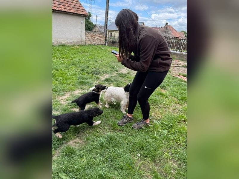 Hilda hat jetzt die Chance auf ein schönes Leben