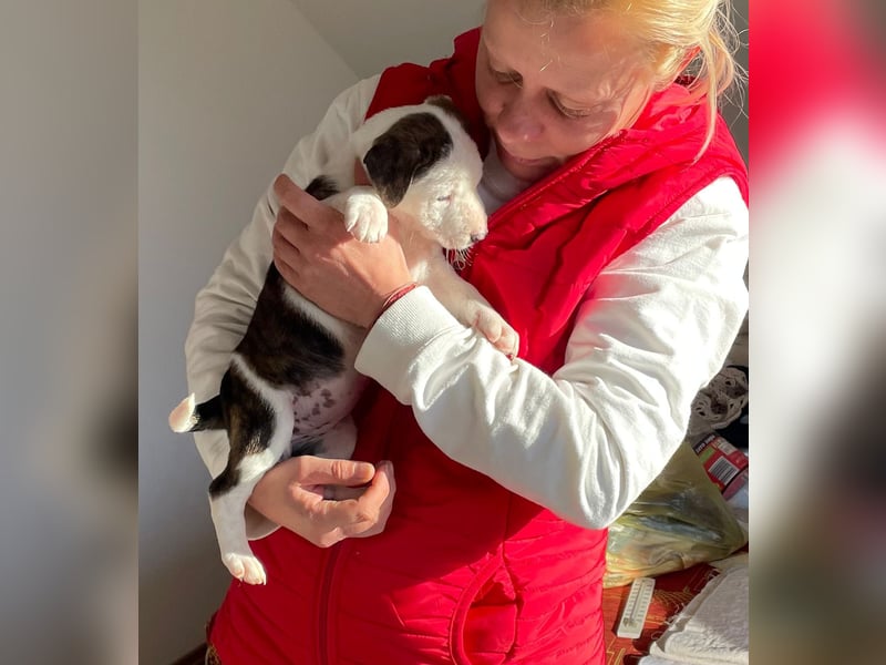 Chanel, kleine Schnuckelmaus sucht aktive Menschen