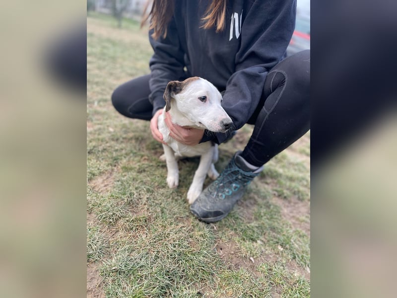 Chanel, kleine Schnuckelmaus sucht aktive Menschen
