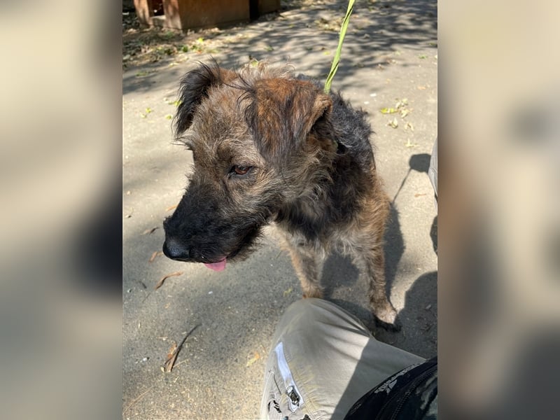 Sabina, einfach nur lieb wünscht sich so sehr eine Familie