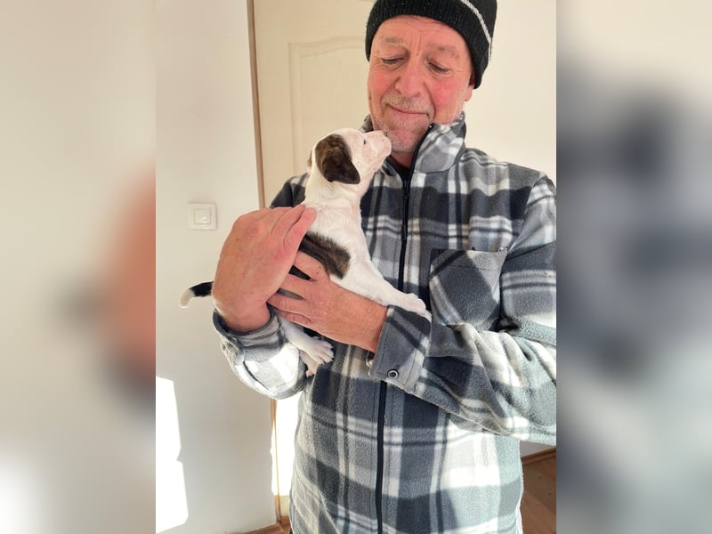 Chanel, kleine Schnuckelmaus sucht aktive Menschen