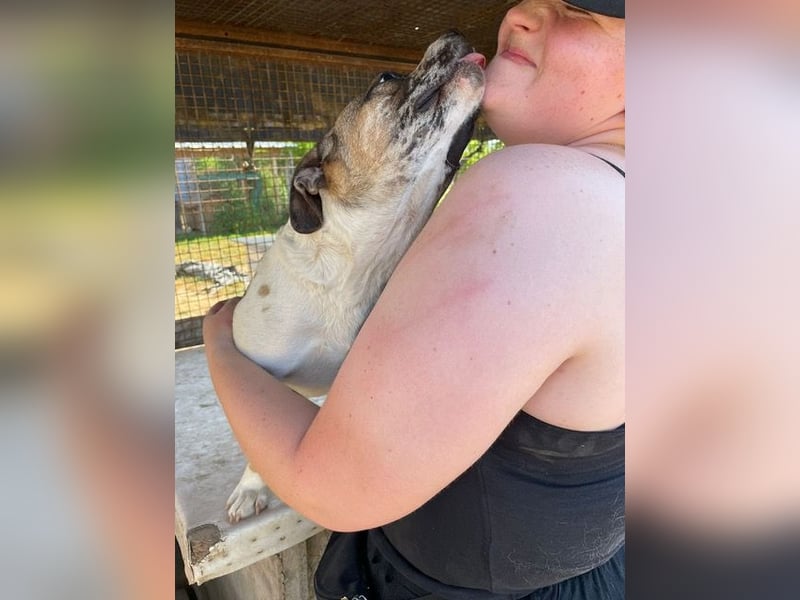 Molly wickelt alle mit ihrer charmanten Art um den Funger?