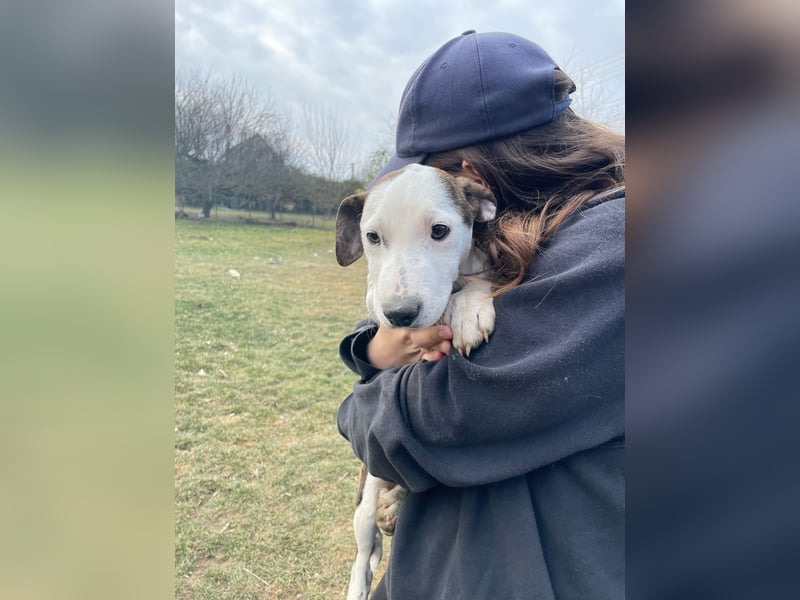 Chanel, kleine Schnuckelmaus sucht aktive Menschen