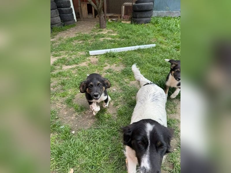 Hilda hat jetzt die Chance auf ein schönes Leben
