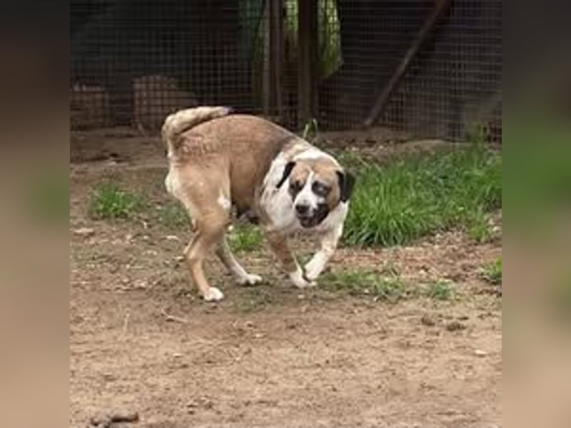 Molly wickelt alle mit ihrer charmanten Art um den Funger?