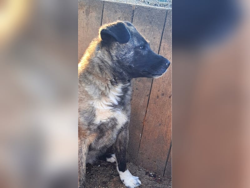 „Elinor“, ca. 2022 geboren, sie wurde fast ihr ganzes Leben in einem dunklen Verschlag gehalten