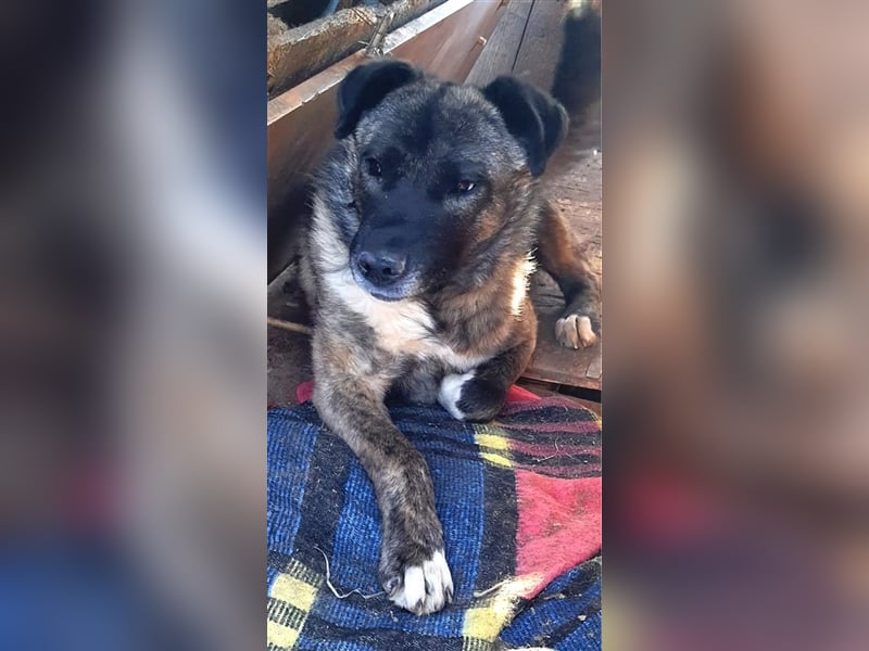 „Elinor“, ca. 2022 geboren, sie wurde fast ihr ganzes Leben in einem dunklen Verschlag gehalten