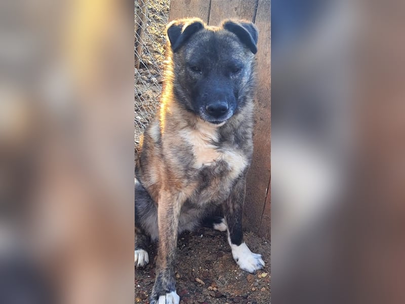 „Elinor“, ca. 2022 geboren, sie wurde fast ihr ganzes Leben in einem dunklen Verschlag gehalten