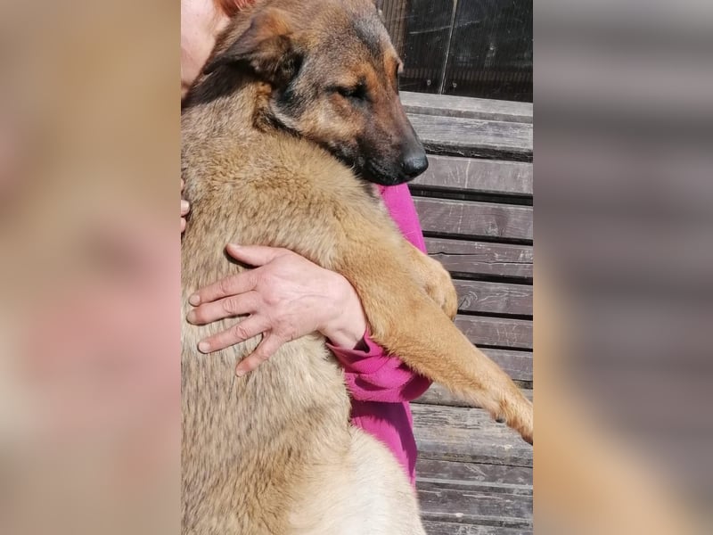 Lucia - sanfte Seele sucht liebevolle Menschen mit Herz