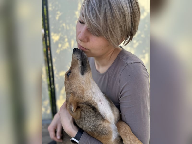 Fee LM – Kleine Entdeckerin sucht ihre Familie