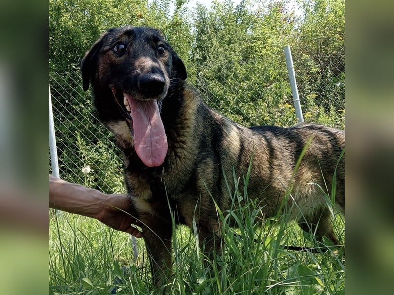 Zarte Amber sucht ihre Herzmenschen❤️