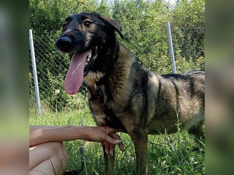Zarte Amber sucht ihre Herzmenschen❤️