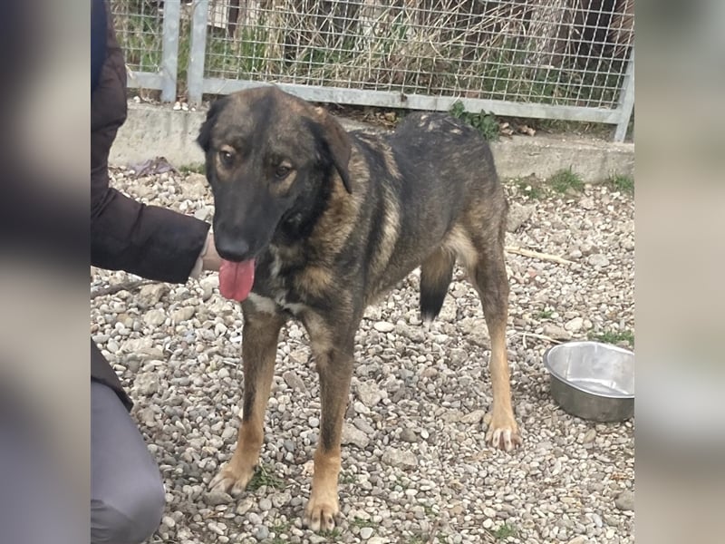 Zarte Amber sucht ihre Herzmenschen❤️