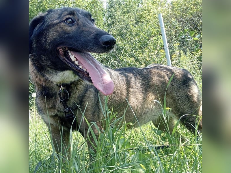 Zarte Amber sucht ihre Herzmenschen❤️