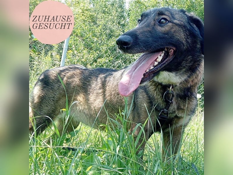 Zarte Amber sucht ihre Herzmenschen❤️