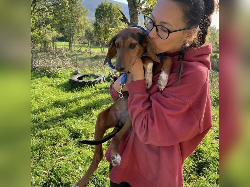 Tilly sucht ihr forever Home❤️