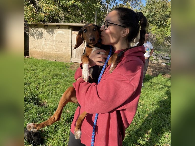 Tilly sucht ihr forever Home❤️