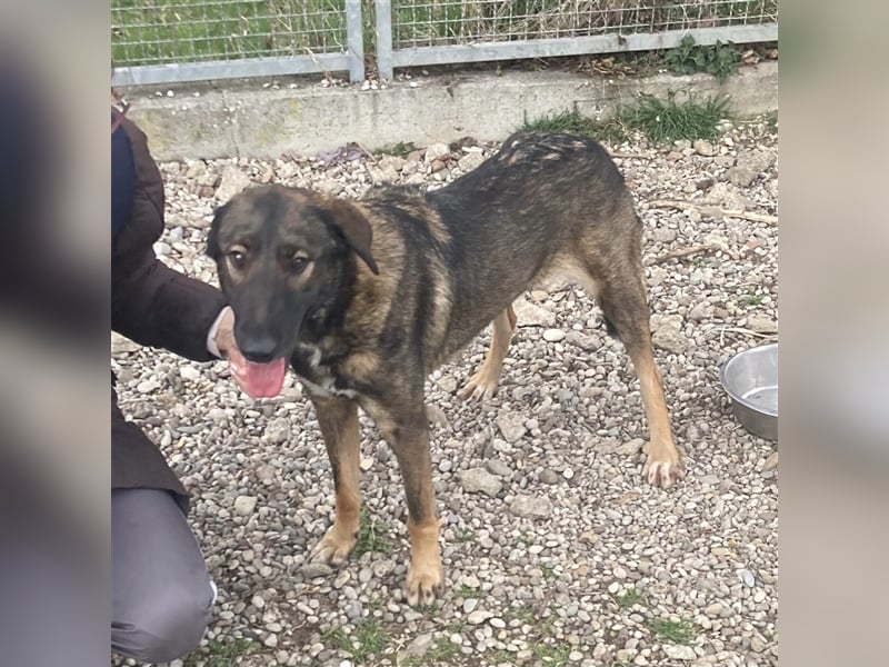 Zarte Amber sucht ihre Herzmenschen❤️