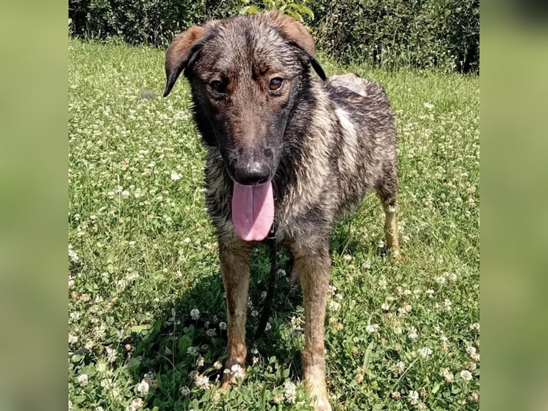 Zarte Amber sucht ihre Herzmenschen❤️
