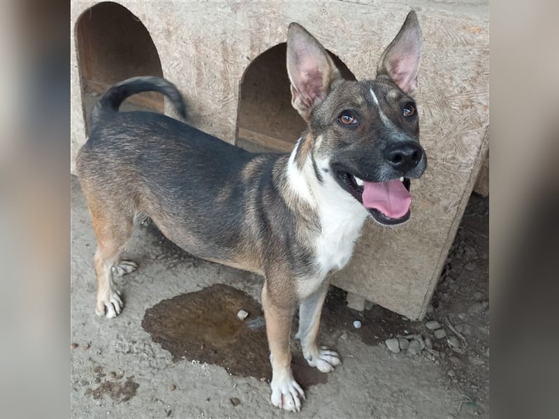 Unsere tolle Sophie