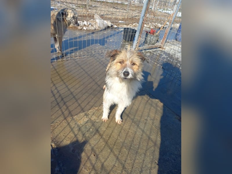 Unsere liebe Heidi