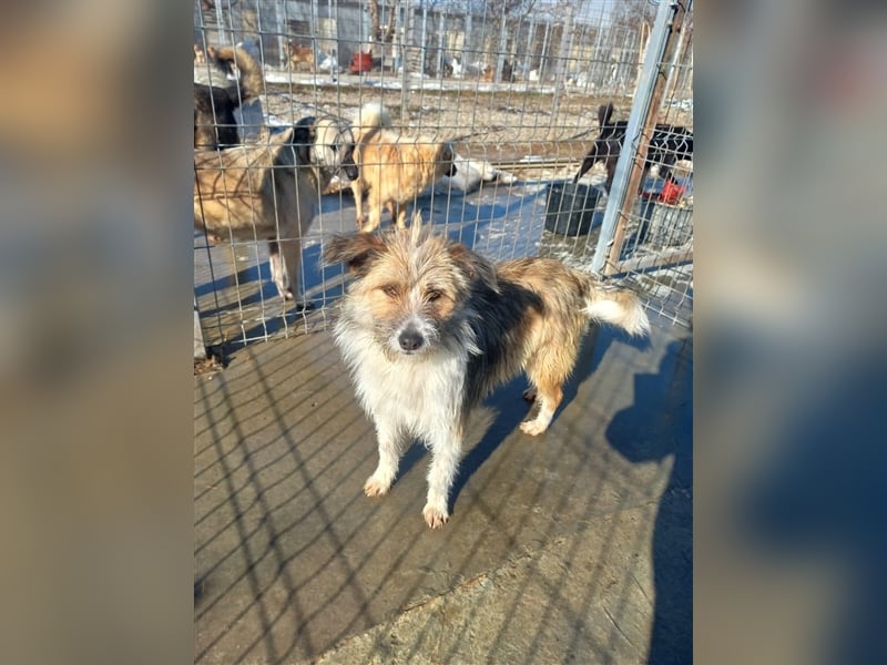 Unsere liebe Heidi