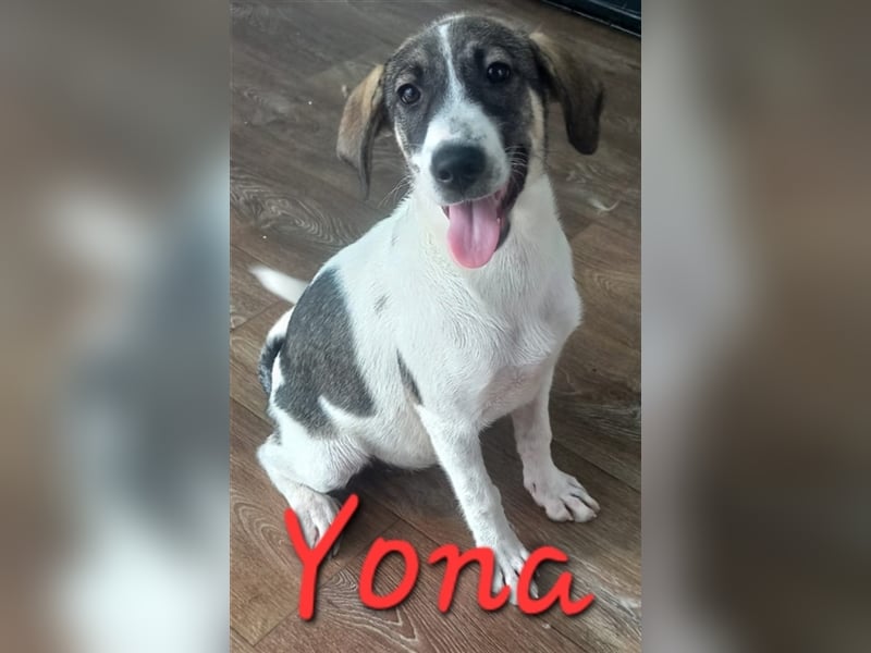 Unsere schöne Yona