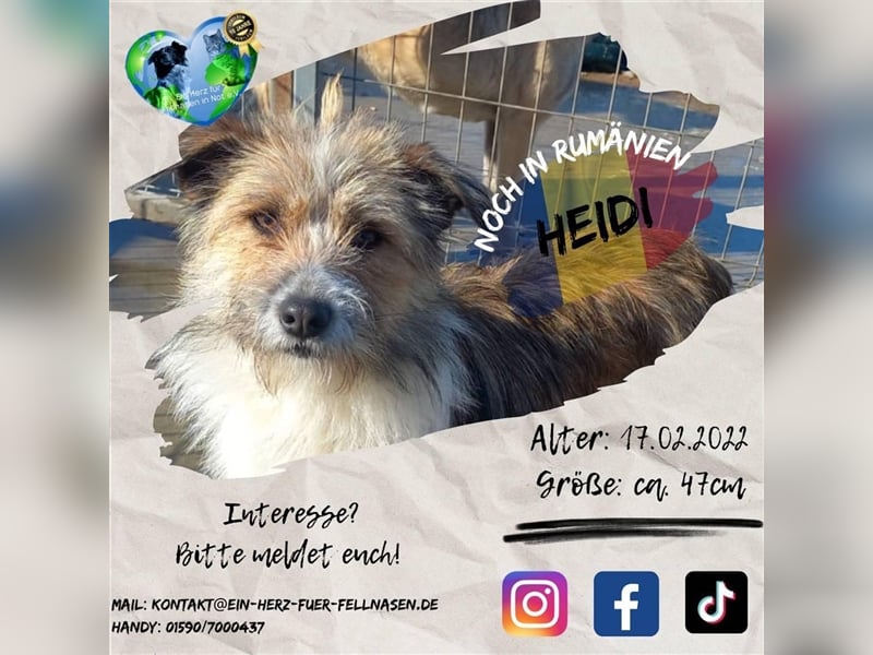 Unsere liebe Heidi