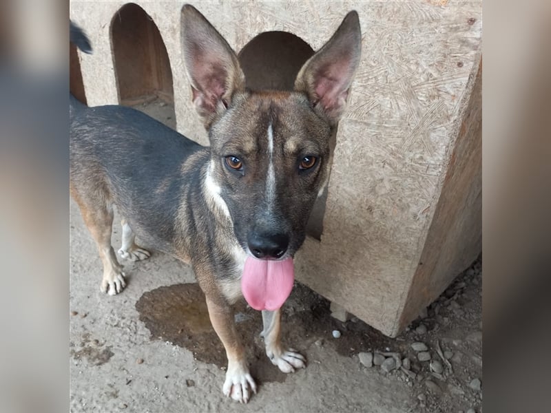 Unsere tolle Sophie