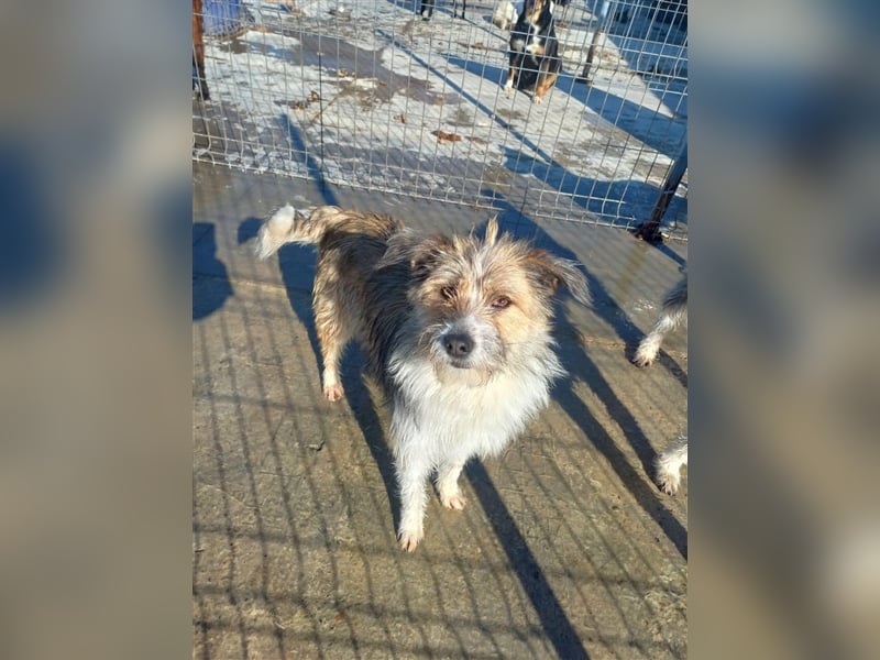 Unsere liebe Heidi
