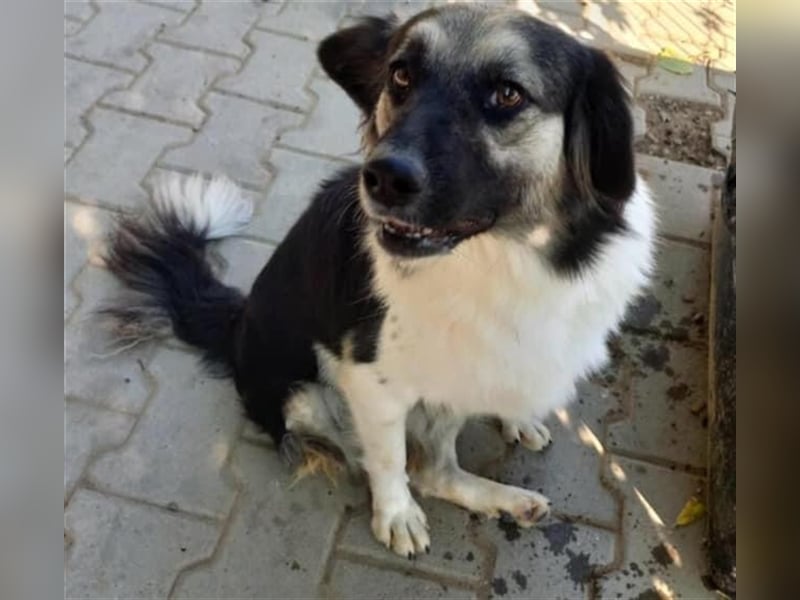 Unsere süsse Lili