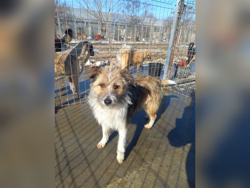 Unsere liebe Heidi