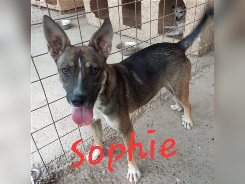 Unsere tolle Sophie