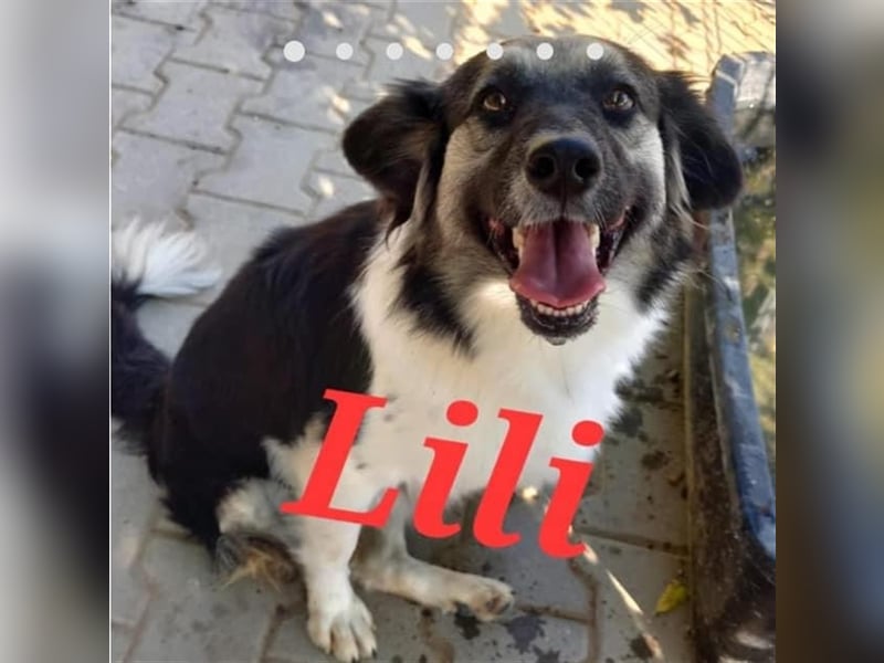 Unsere süsse Lili