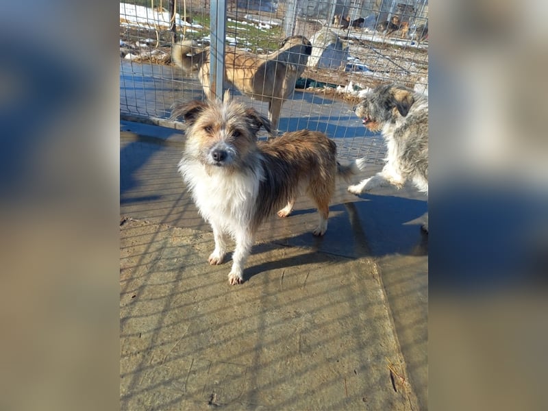 Unsere liebe Heidi