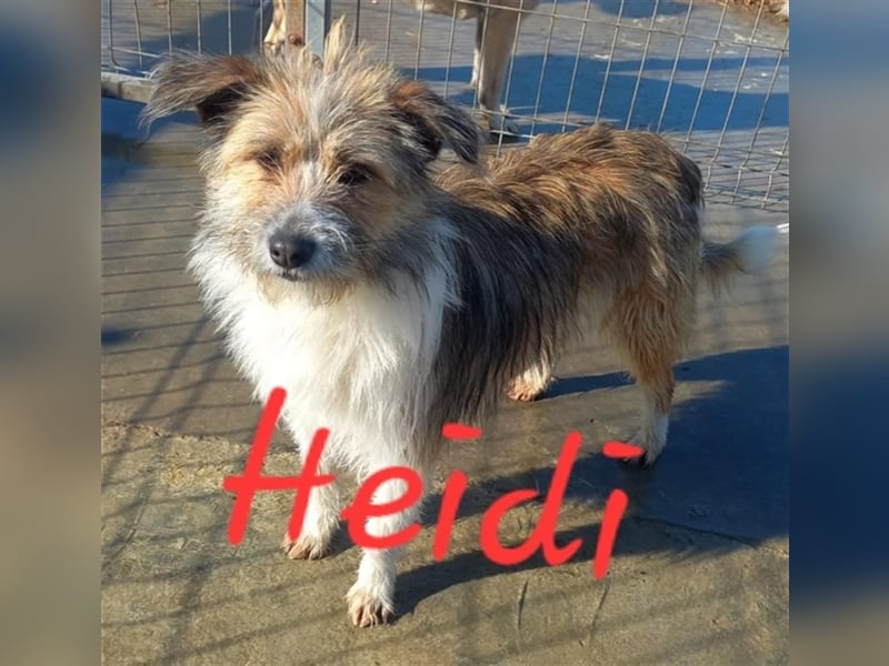 Unsere liebe Heidi